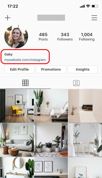 Instagram Link in Bio with Spotlight