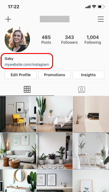 Enlace Instagram en Bio con Spotlight