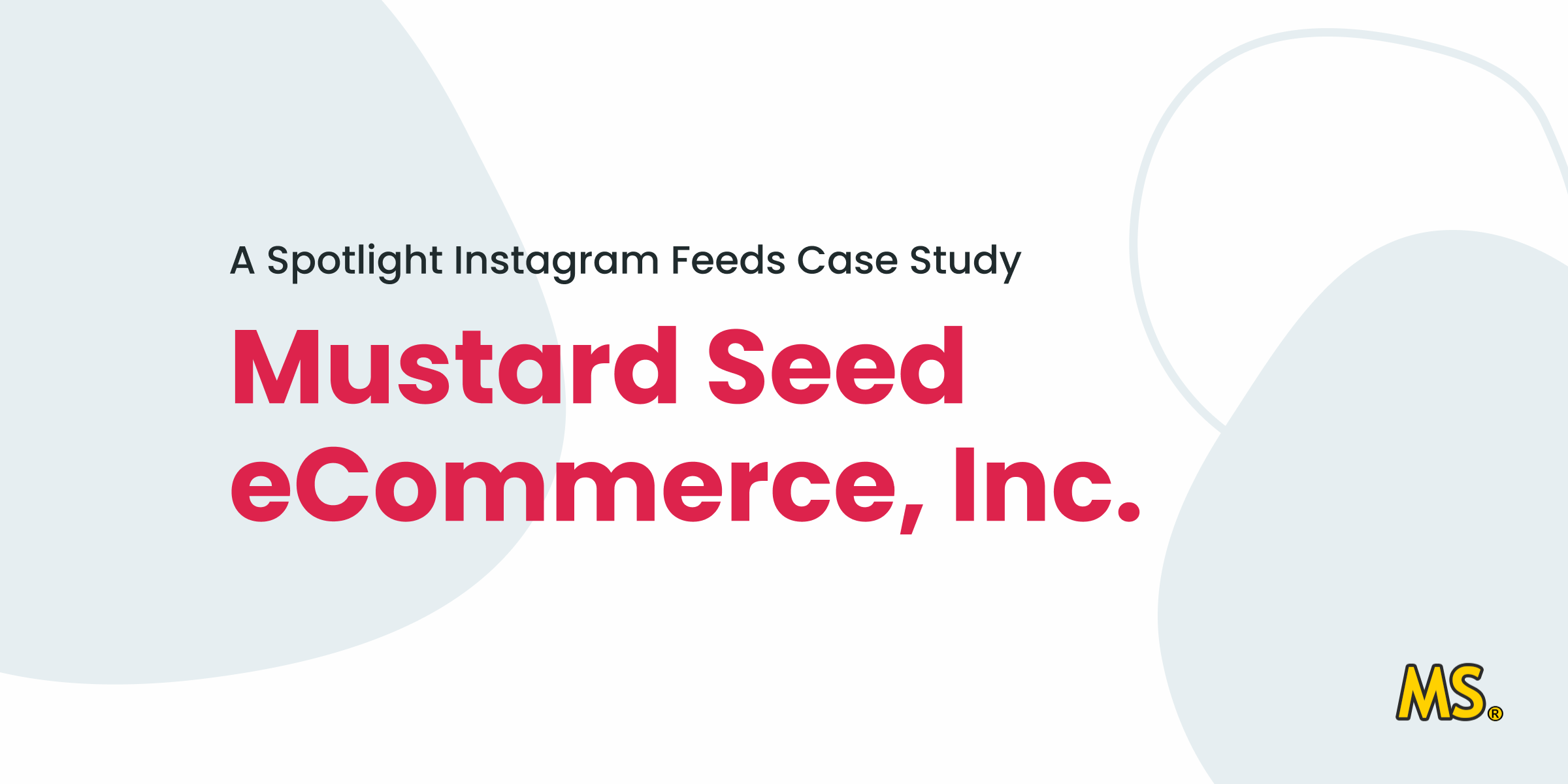 Spotlight Estudio de caso de Instagram Feeds - Mustard Seed eCommerce, Inc.