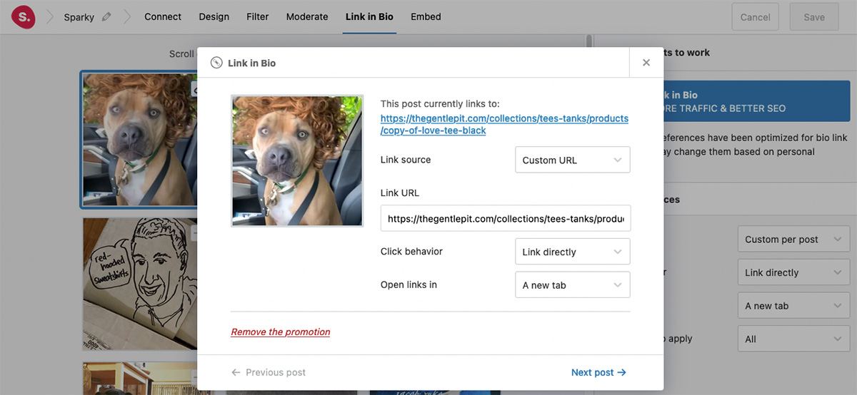 screenshot of Spotlight Pro's link in bio custom post feature