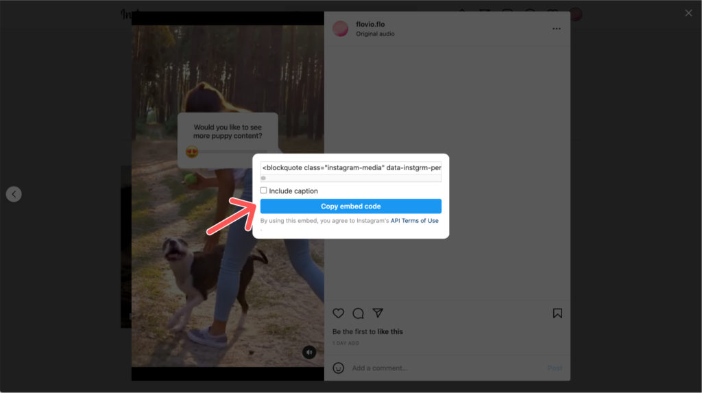 How To Embed Instagram Reels On Your Website [Super Easy Guide] • Spotlight