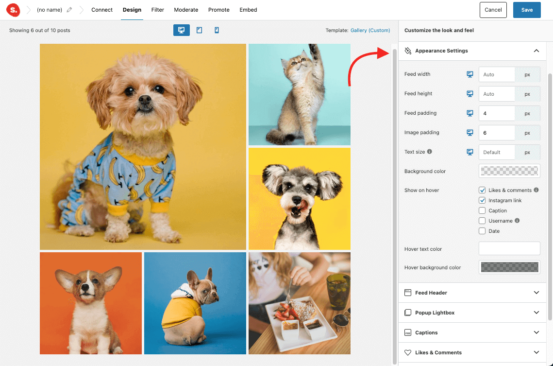 Screenshot explaining how to customize the tagged Instagram feed using the appearance settings tab on the Spotlight plugin.