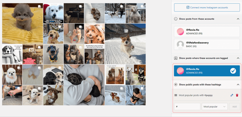 Create a tagged and hashtag Instagram feed