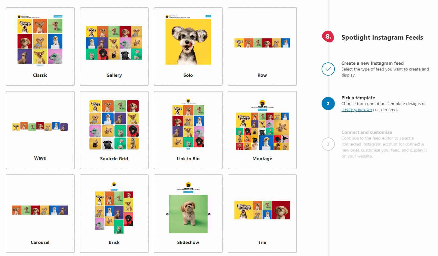 Types of feed layouts