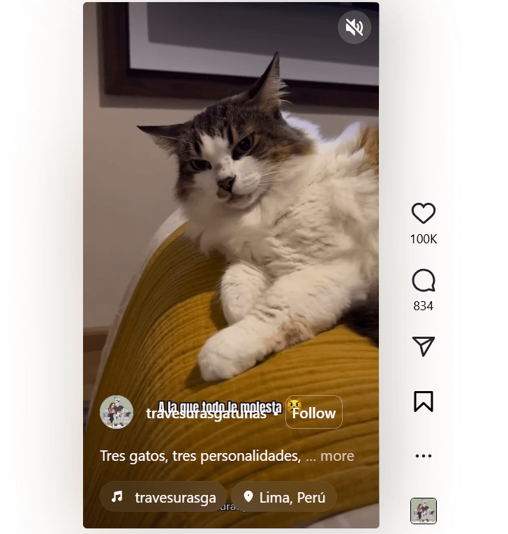 An Instagram reel in the feed