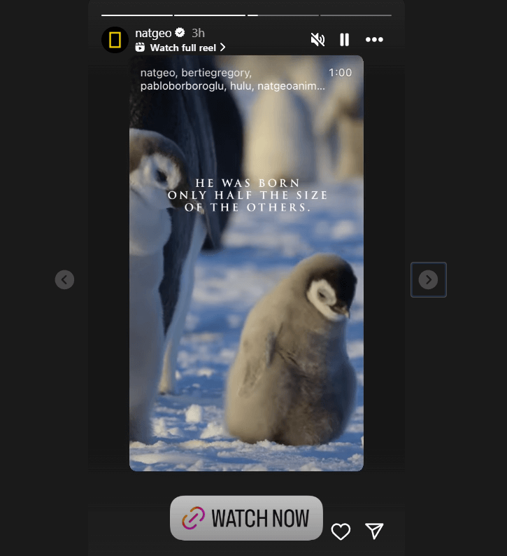 Using the safe zone to include content in Instagram reels