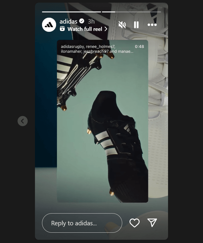An example of the standard Instagram reel dimensions