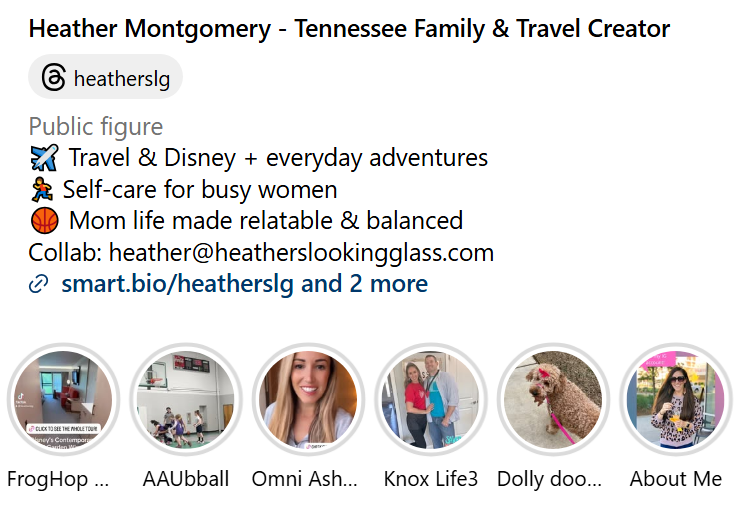 An example of an Instagram bio with a unique value proposition