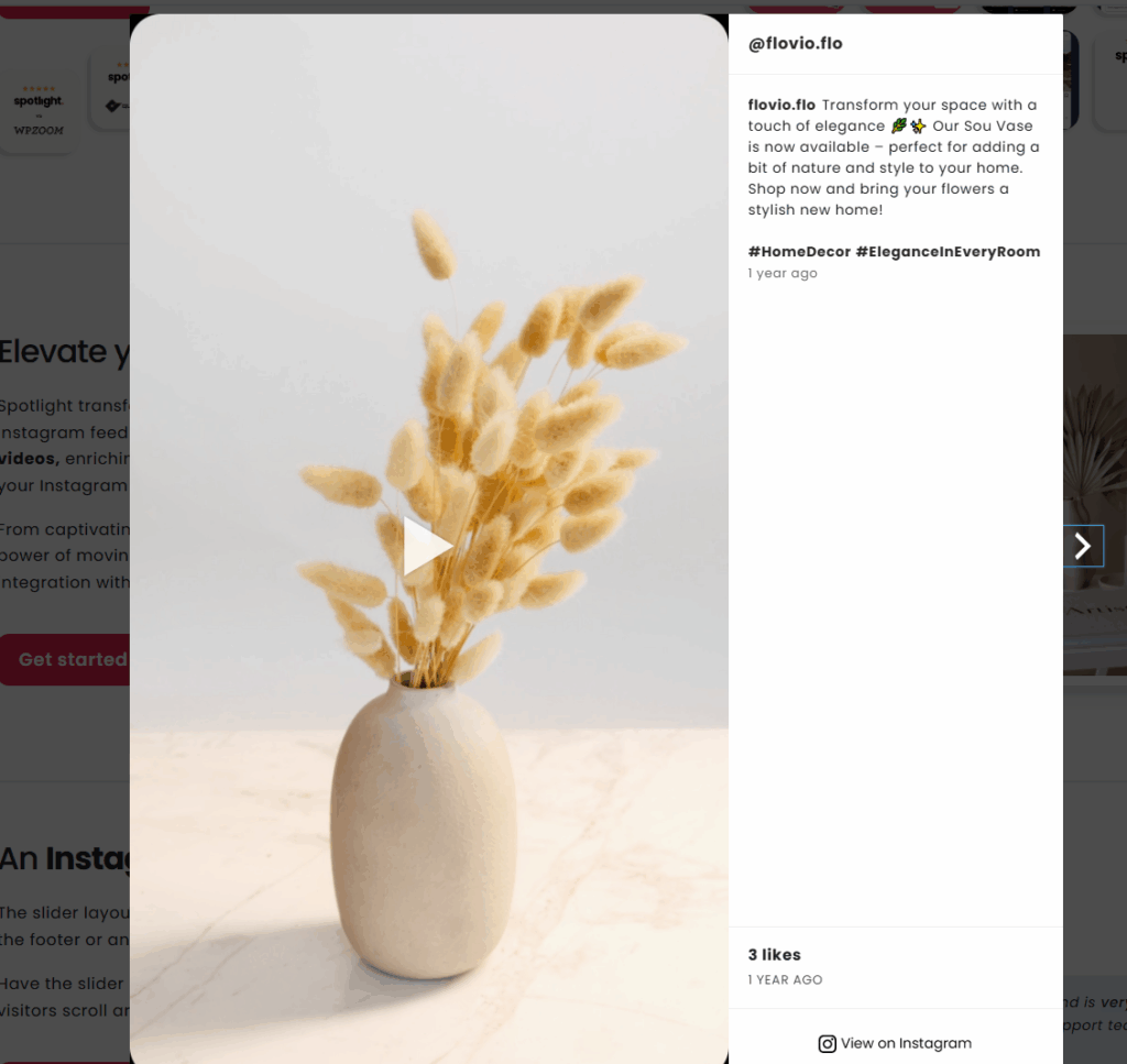Instagram video content in WordPress