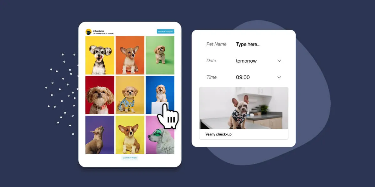 Pet service businesses in Instagram