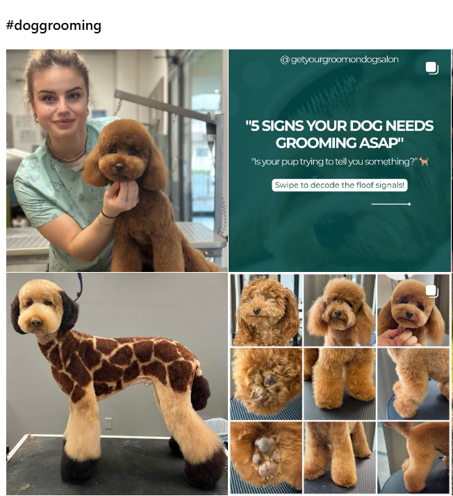 Dog grooming posts in Instagram