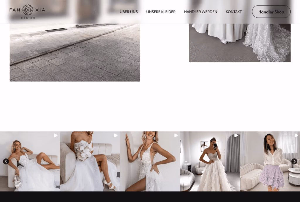 Website example - Online shop