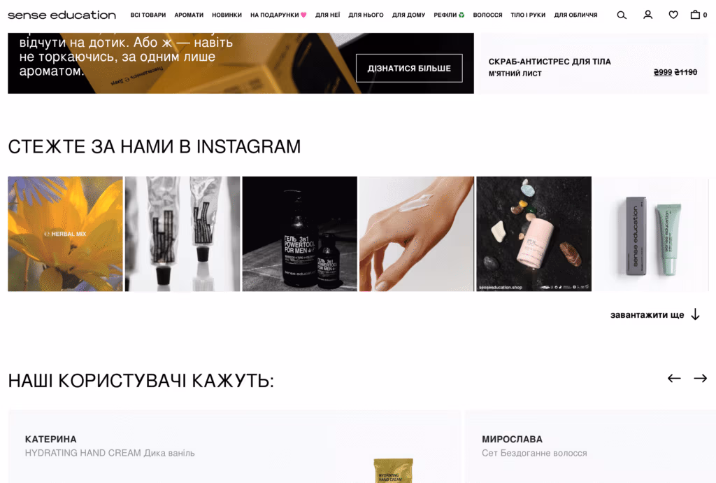 Website example - Online shop