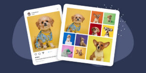 How to add an Instagram feed to WordPress