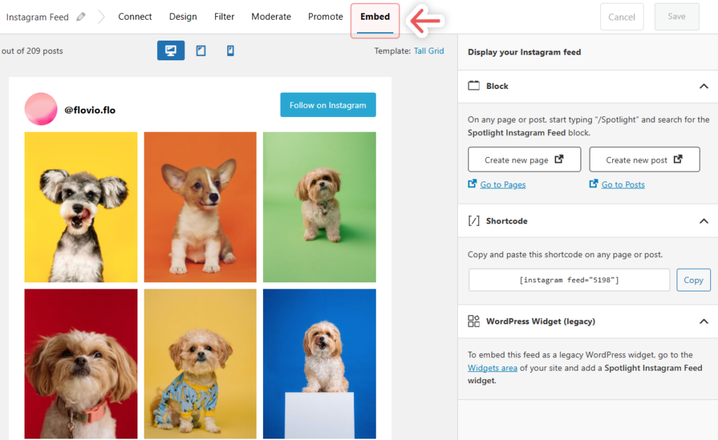 Embed an Instagram feed with Spotlight using different methods
