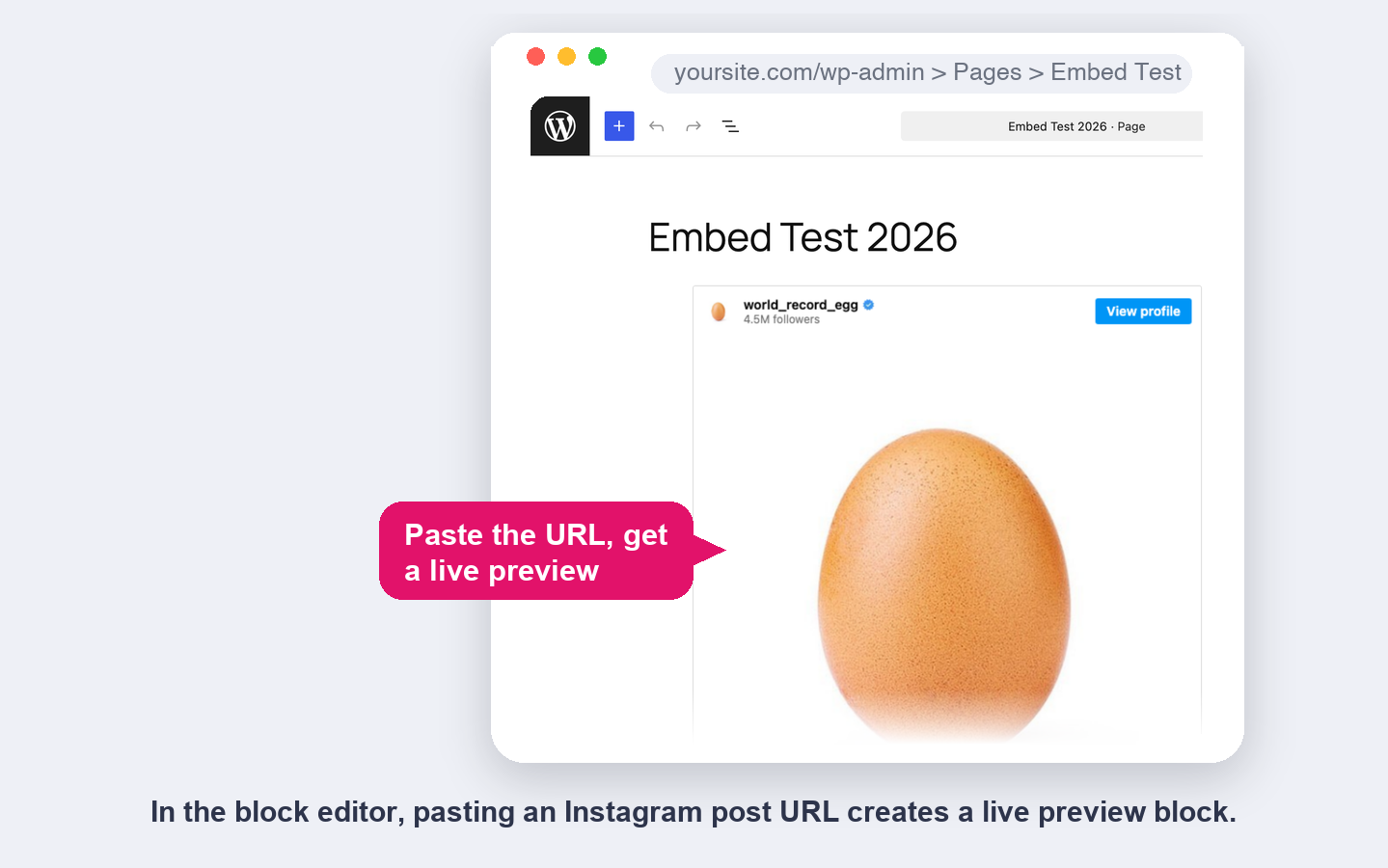 WordPress block editor showing an Instagram post URL converted into a live embed preview by the Meta Embeds plugin