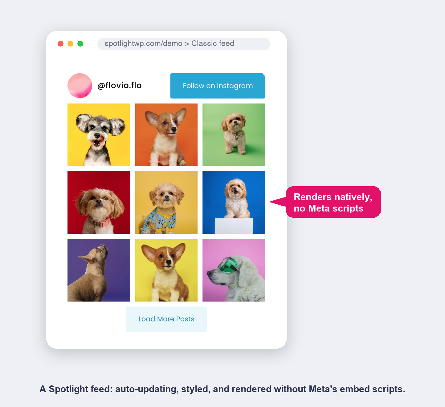 A Spotlight Instagram feed grid rendering natively in WordPress with no Meta embed scripts on the page