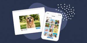 Illustration for Instagram embeds in WordPress after Meta 2026 tokenless oEmbed change