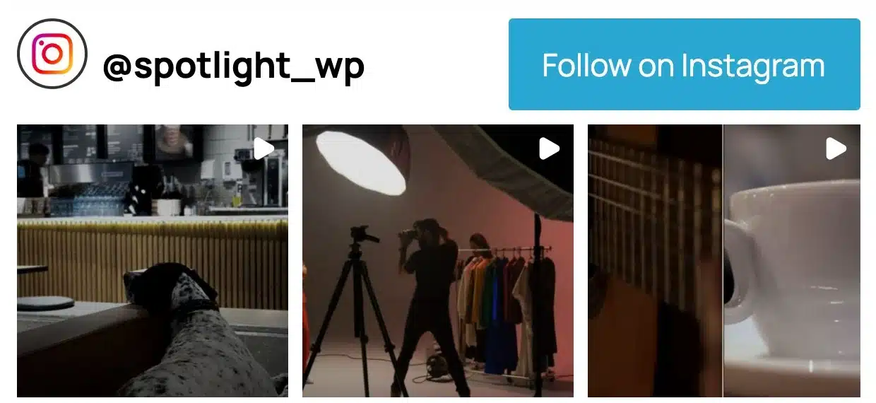 Spotlightโs connected Instagram account and first row of real posts in Spotlight Free on the WordPress test page.