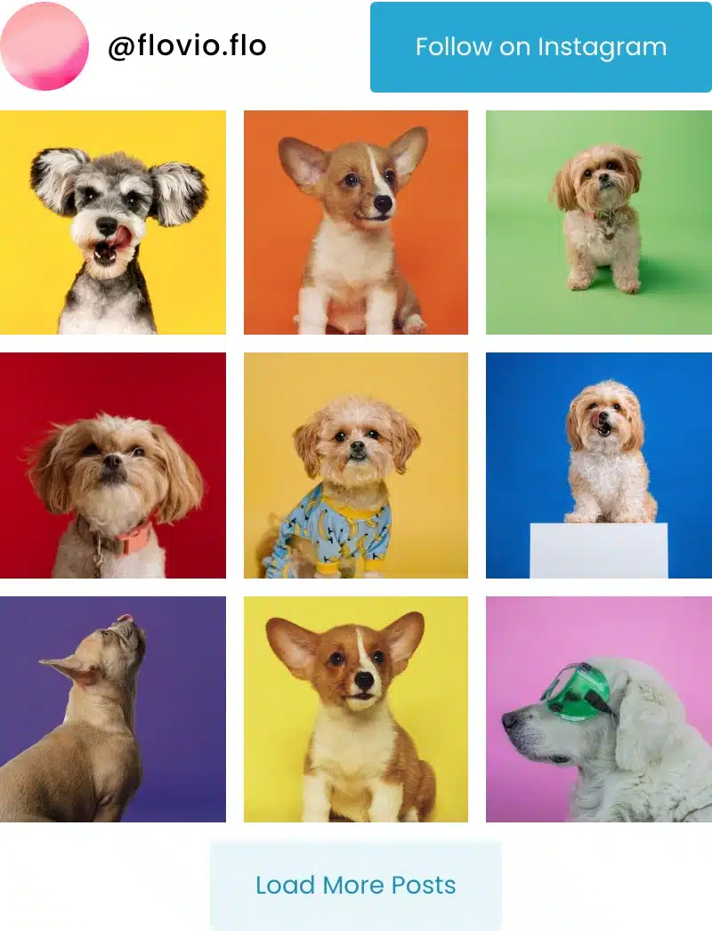 Spotlight’s Classic demo feed with a profile header, nine dog photos, and Follow on Instagram and Load More Posts buttons.